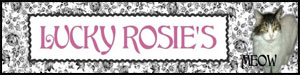 Lucky Rosies review of My Lip Stuff